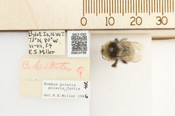 Media type: image;   Entomology 810798 Aspect: labels
